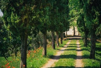 Villa Bianca charming Tuscany house with pool – 사진 13