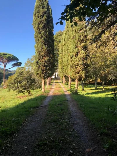 Villa Bianca charming Tuscany house with pool – 사진 14